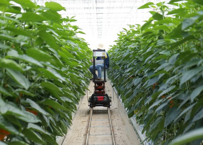 Elettrodomestici intelligenti: come semplificano la tua vita quotidiana